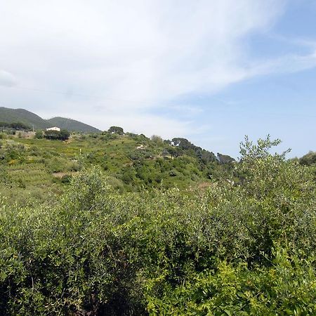 Villa Caribe Affittacamere Monterosso al Mare Exterior foto